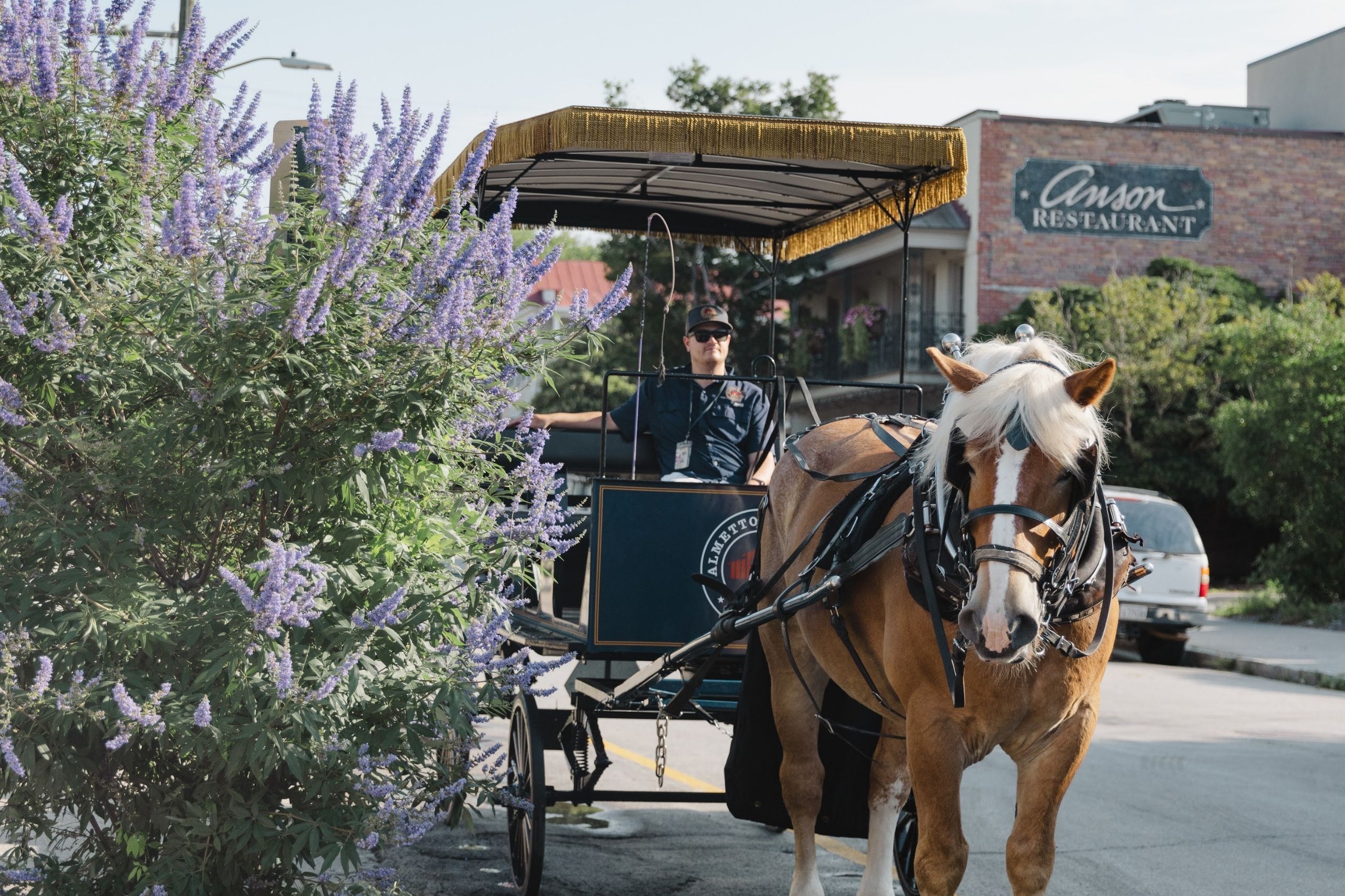 horse-drawn carriage ride through Charleston